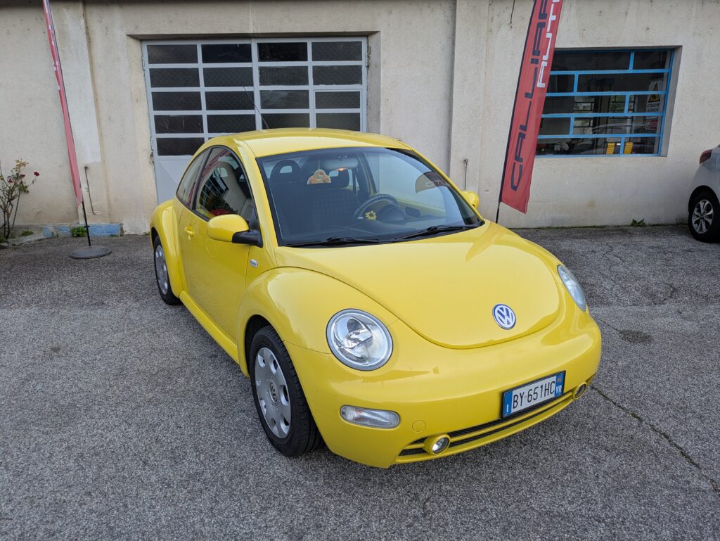 1BEETLE