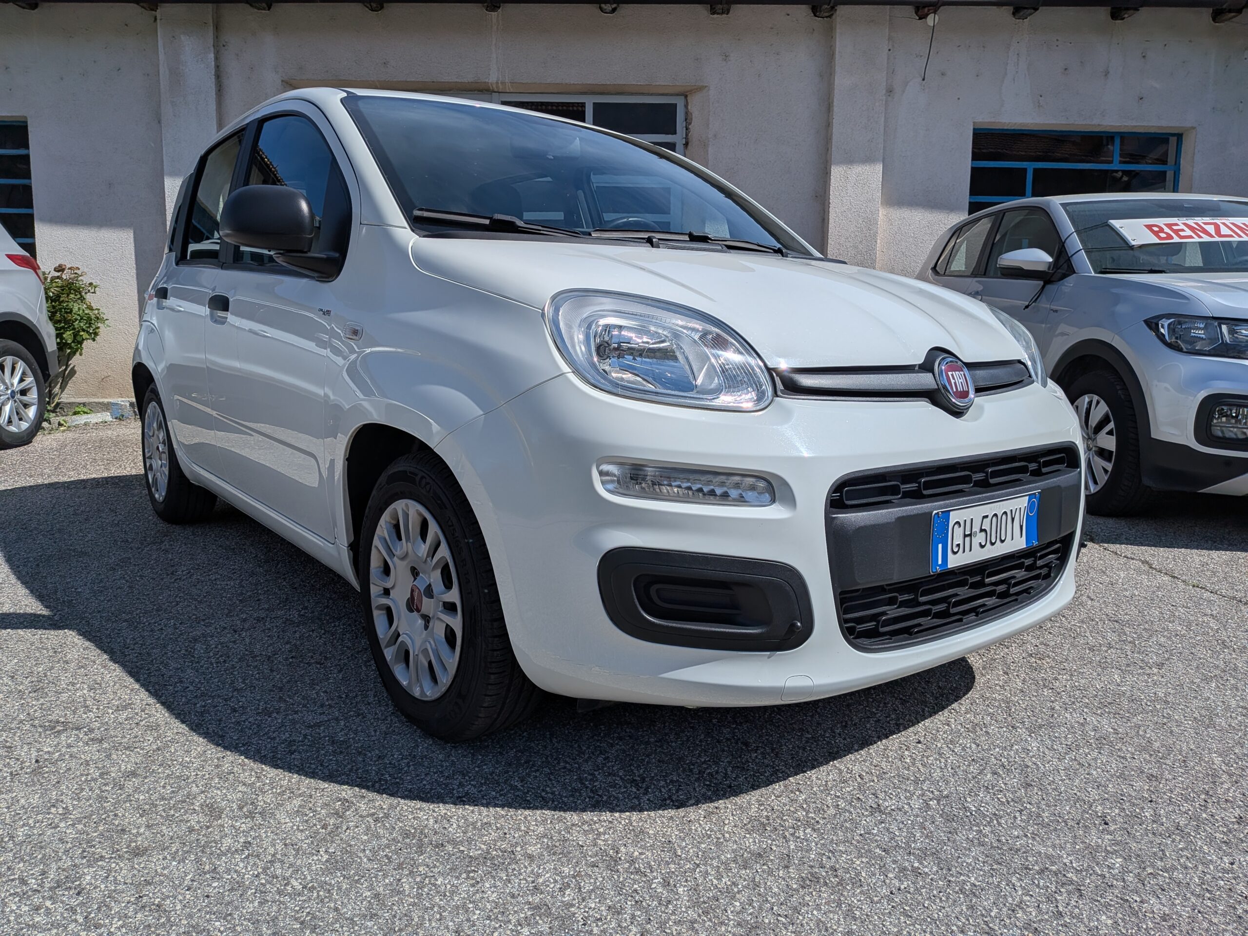 panda316 (1)