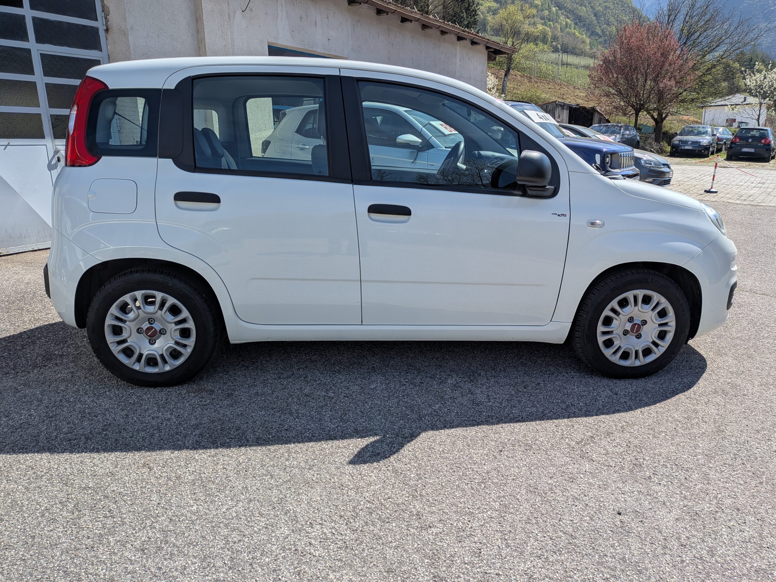 panda316 (10)