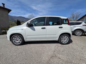 panda316 (6)