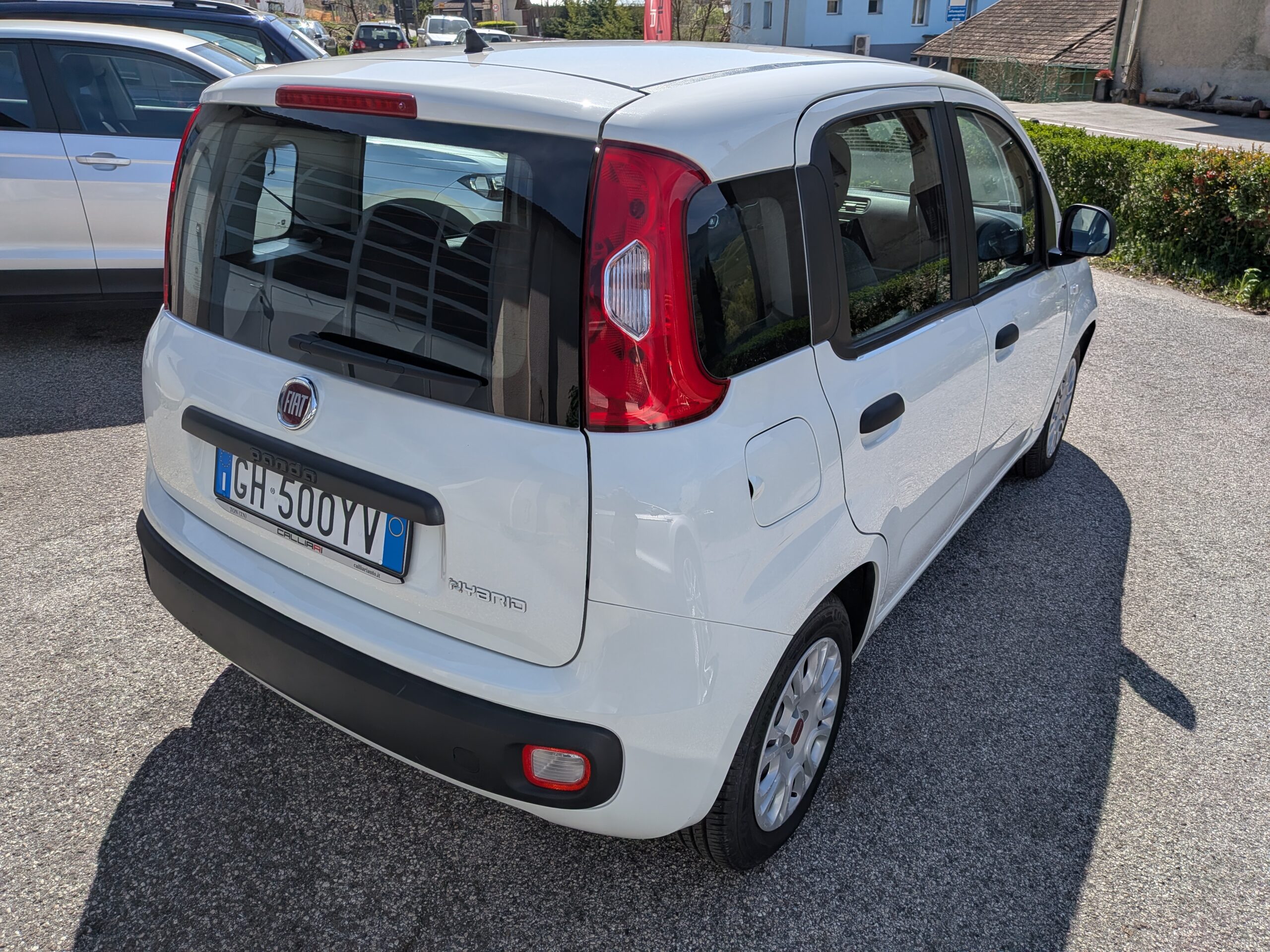 panda316 (9)