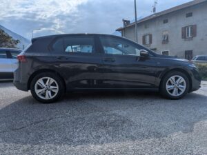 golf355 (10)